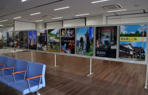 DSC_6471_S